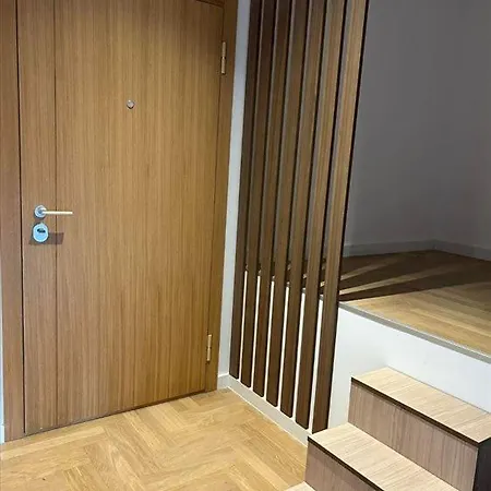 Dorcol Lux 170 M2 Apartment Belgrade